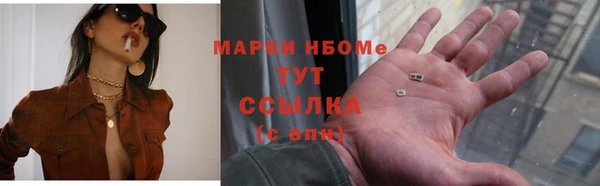 молекула духа Пересвет