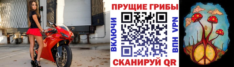 Галлюциногенные грибы Psilocybe  blacksprut ONION  Бирюсинск 